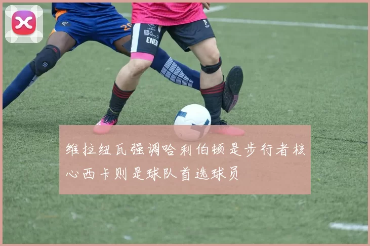 维拉纽瓦强调哈利伯顿是步行者核心西卡则是球队首选球员