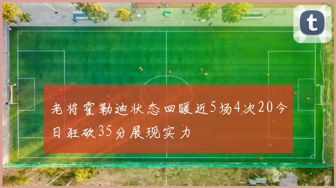 老将霍勒迪状态回暖近5场4次20今日狂砍35分展现实力