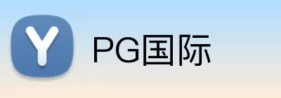 PG国际 logo